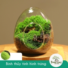 Trứng thủy tinh DIY