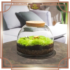 Bình thủy tinh tròn dẹt nắp bấc có đèn 15*13cm