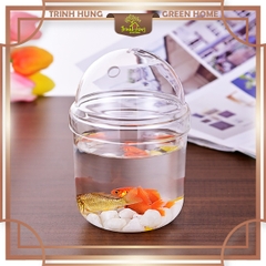 Bình thủy tinh nắp cầu 13cm