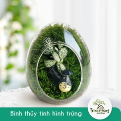 Trứng thủy tinh DIY