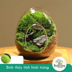 Trứng thủy tinh DIY