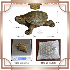 Mô hình rùa THMN2126