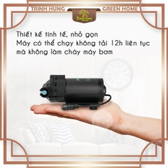 Bơm mius