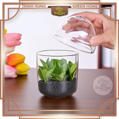 Bình thủy tinh nắp cầu 13cm