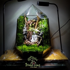 Đất kết dính.Adhesive soil - Chuyên dụng làm Terrarium, tường rêu, bán cạn, bon sai