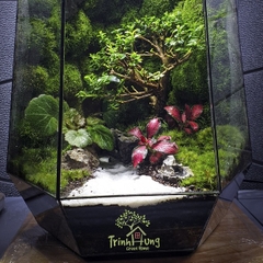 Đất kết dính.Adhesive soil - Chuyên dụng làm Terrarium, tường rêu, bán cạn, bon sai