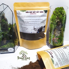 Đất kết dính.Adhesive soil - Chuyên dụng làm Terrarium, tường rêu, bán cạn, bon sai