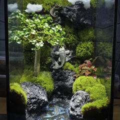 Combo 5 túi đất kết dính.Adhesive soil - Chuyên dụng làm Terrarium, tường rêu, bán cạn, bon sai