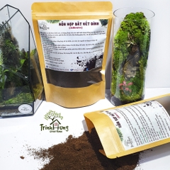 Combo 5 túi đất kết dính.Adhesive soil - Chuyên dụng làm Terrarium, tường rêu, bán cạn, bon sai