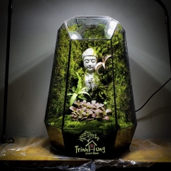Combo 5 túi đất kết dính.Adhesive soil - Chuyên dụng làm Terrarium, tường rêu, bán cạn, bon sai