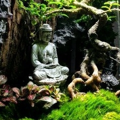 Tượng phật ngồi bệ đá