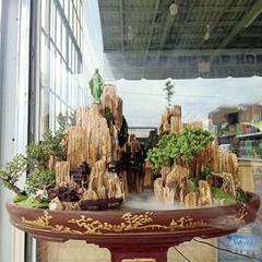 Đá gỗ hóa thạch