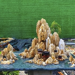 Đá gỗ hóa thạch