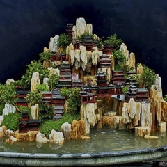 Đá gỗ hóa thạch