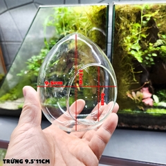 Trứng thủy tinh DIY