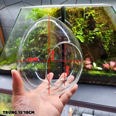 Trứng thủy tinh DIY