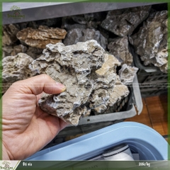 Đá vỉa( 1kg)