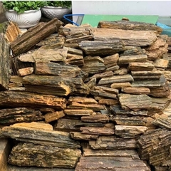 Đá gỗ hóa thạch