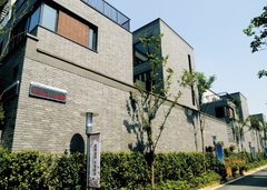 Gạch Thẻ Wall Brick