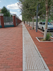 Gạch Thẻ Vacuum Brick