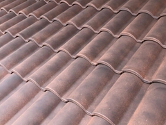 Selectum Đỏ mộc mạc[ORDER]