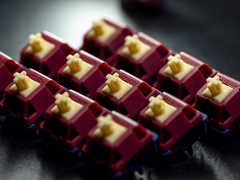 Switch Gateron Quinn | Heavy Tactile | 59g | Đanh – Đầm – Mượt