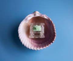 Switch Gateron Baby Kangaroo 2.0 | Gateron |Tactile| 59g | Công tắc bàn phím cơ | TheKeebsOfLeser