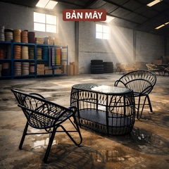 Bàn Ghế Mây Nhựa Đuôi Công – Bộ 2 Ghế 1 Bàn Tạo Điểm Nhấn Sang Trọng Cho Không Gian Sống