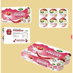 Sữa Chua Nguội ARLA Natural Đan Mạch - Mềm Mịn, Ít Đường, Tốt Cho Tiêu Hóa - Dành Cho Bé Từ 1 Tuổi