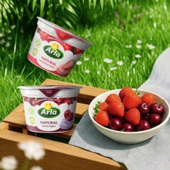 Sữa Chua Nguội ARLA Natural Đan Mạch - Mềm Mịn, Ít Đường, Tốt Cho Tiêu Hóa - Dành Cho Bé Từ 1 Tuổi