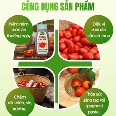 Tương Cà Chua Cô Đặc SPICO CHAI NHỰA 430g Brix 26, Đặc Sệt Hơn, Thuần Chay Cho Gia Đình