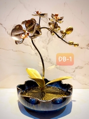 CHẬU LAN PHÚ QUÝ ĐỒNG BẠCH, 1 CÀNH (Cao 40cm)