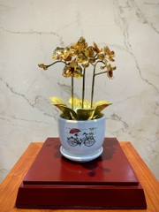 CHẬU LAN VÀNG PHÚ QUÝ, MẠ VÀNG HOA, CAO 25cm (3 CÀNH)