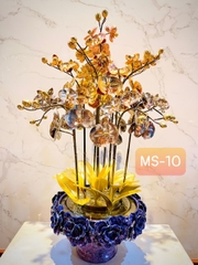 CHẬU LAN PHÚ QUÝ TAM KHÍ 3 MÀU: VÀNG, TRẮNG, ĐỎ, CAO 68cm (10 CÀNH)