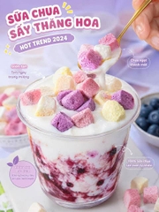 SỮA CHUA SẤY THĂNG HOA - 500gr