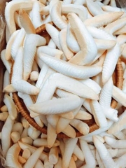BÁNH MEN BOOMERANG