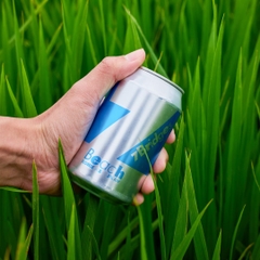 Thùng 24 lon Bia thủ công 7 Bridges mix 4 loại bia 330ml