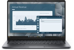 Dell Pro 14 PC14255 2025 (Black, AMD)