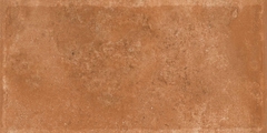 Gạch Ấn Độ 300x600 men Matt Porcelain ALTROZ TERRA