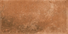 Gạch Ấn Độ 300x600 men Matt Porcelain ALTROZ TERRA