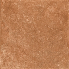 Gạch Ấn Độ 600x600 men Matt Porcelain ALTROZ TERRA