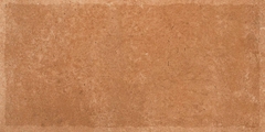 Gạch Ấn Độ 300x600 men Matt Porcelain ALTROZ TERRA