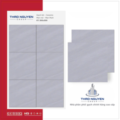 Gạch lát 30x30 ghi RedStar men Matt Ceramic REC33.4830