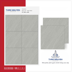 Gạch lát 30x30 Ghi RedStar men Matt Ceramic REC33.4837