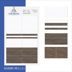 Bộ gạch ốp tường Redstar 300x600mm Ceramic RTC36.8922