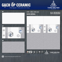 Bộ gạch ốp tường Redstar 300x600mm Ceramic RTC36.8920