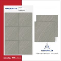 Gạch lát 30x30 Ghi RedStar men Matt Ceramic REC33.4840