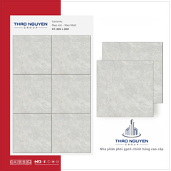 Gạch lát 30x30 Ghi RedStar men Matt Ceramic REC33.8813