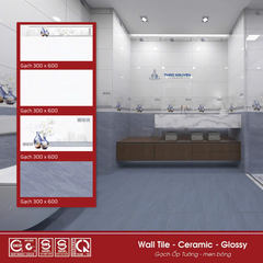 Bộ gạch ốp tường Redstar 300x600mm Ceramic REC36.8886