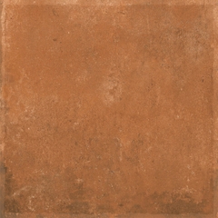 Gạch Ấn Độ 600x600 men Matt Porcelain ALTROZ TERRA